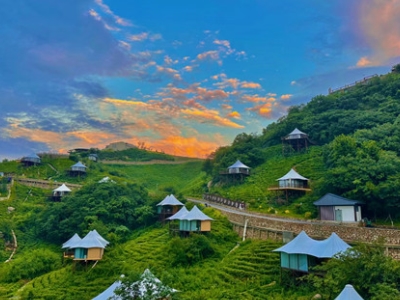 信陽“醉美茶鄉(xiāng) 約你相見”入選全國鄉(xiāng)村旅游精品路線